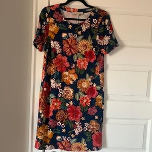 Loft shirt dress